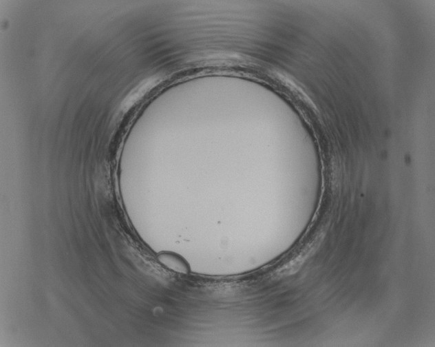 X0000076400970200610271614