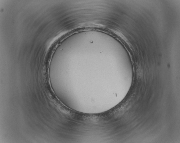 X0000076400971200610271614