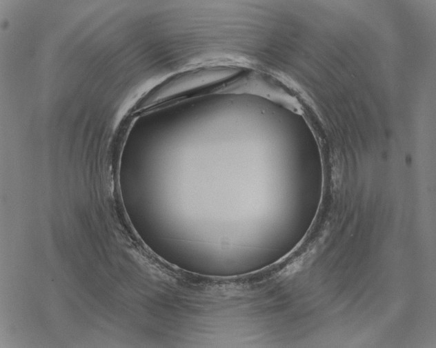 X0000076400973200610271614