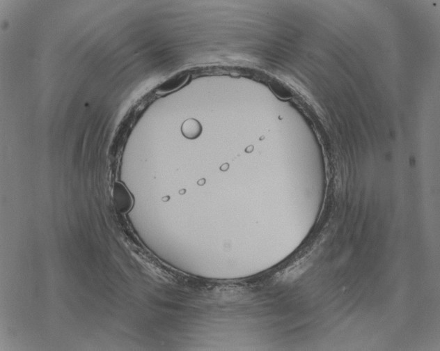 X0000076400974200610271614