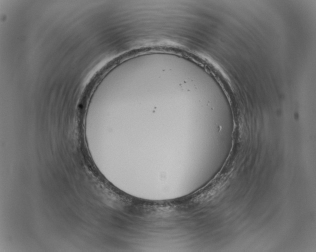 X0000076400975200610271614