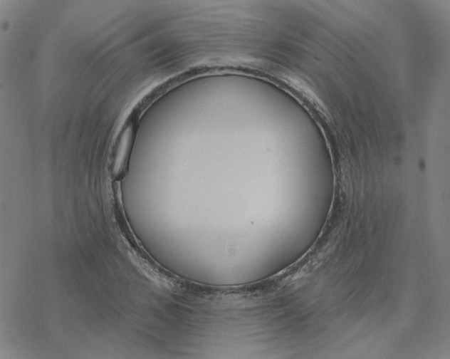 X0000076400976200610271614