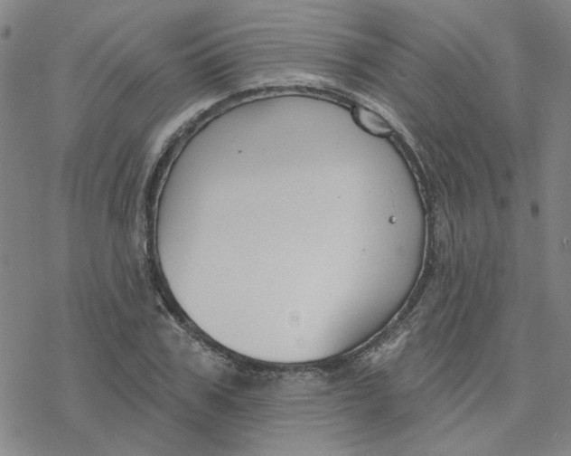 X0000076400979200610271614