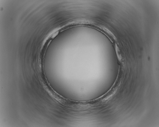 X0000076400981200610271614