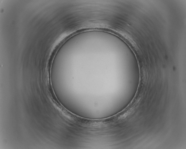 X0000076400982200610271614