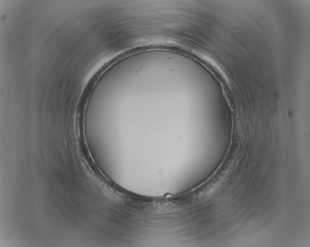 X0000076400983200610271614