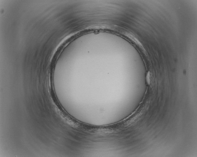 X0000076400984200610271613