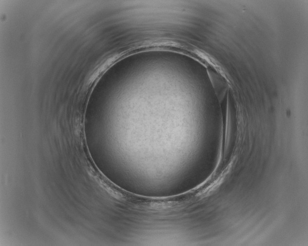 X0000076400985200610271613