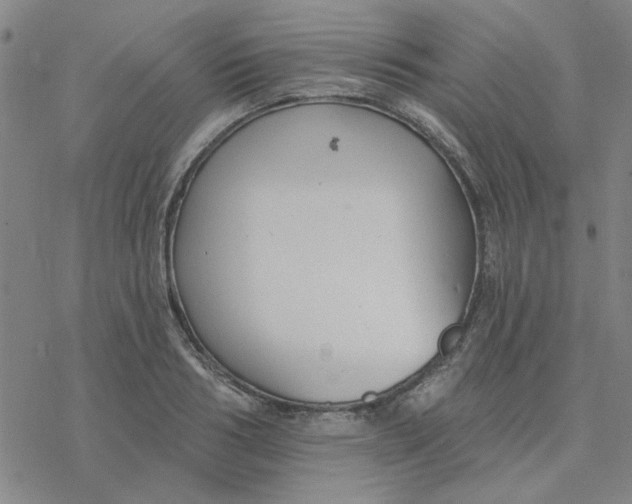 X0000076400986200610271613