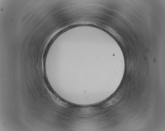 X0000076400988200610271613