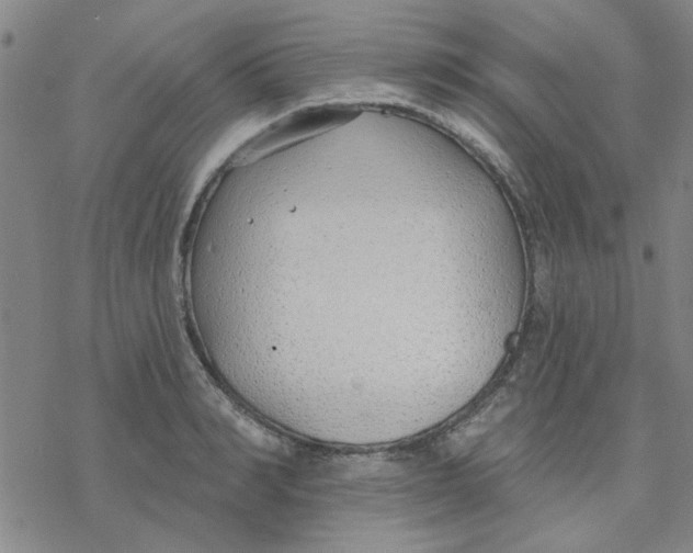 X0000076400990200610271613