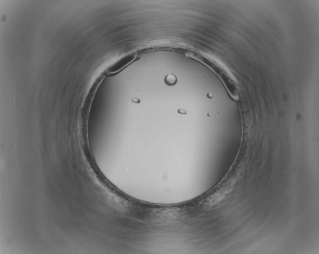 X0000076400991200610271613