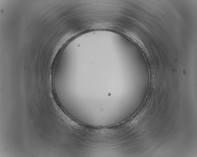 X0000076400992200610271613