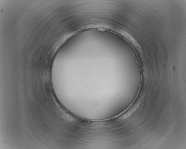 X0000076400993200610271613