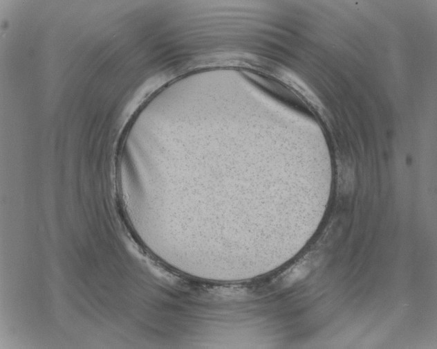 X0000076400994200610271613