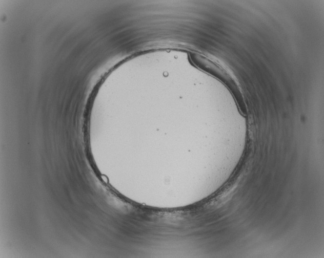 X0000076400995200610271613