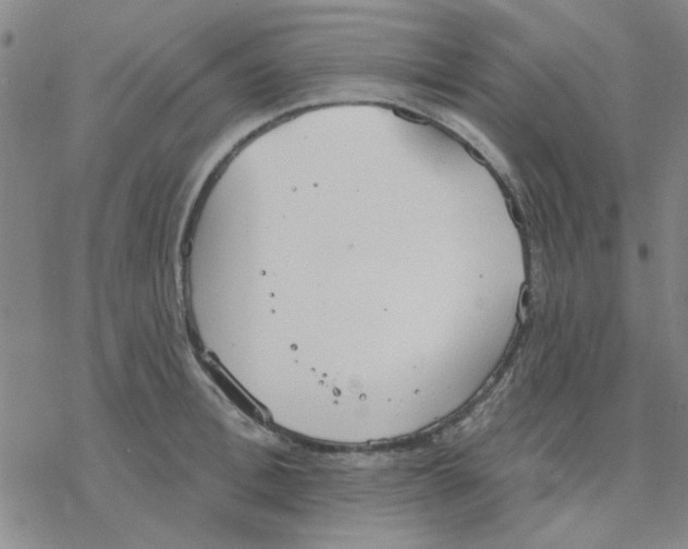 X0000076400996200610271613