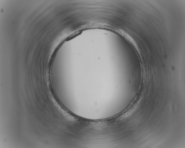 X0000076400997200610271613