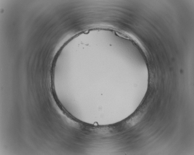 X0000076400999200610271613