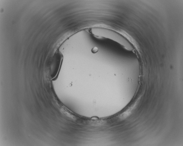 X0000076401001200610271613