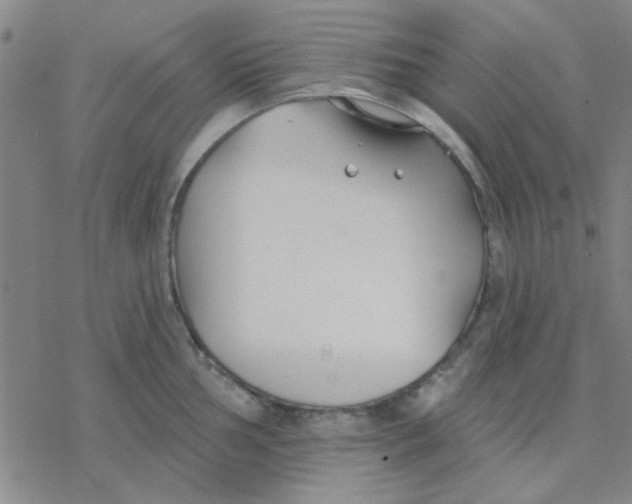 X0000076401002200610271613