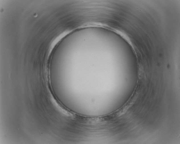 X0000076401003200610271613