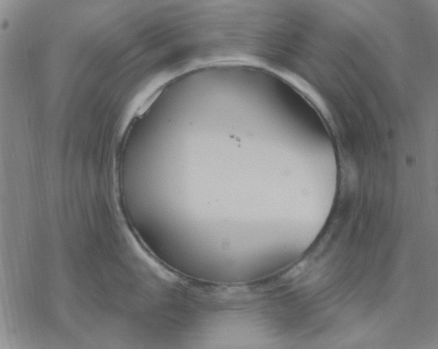 X0000076401006200610271613