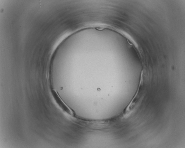 X0000076401007200610271613