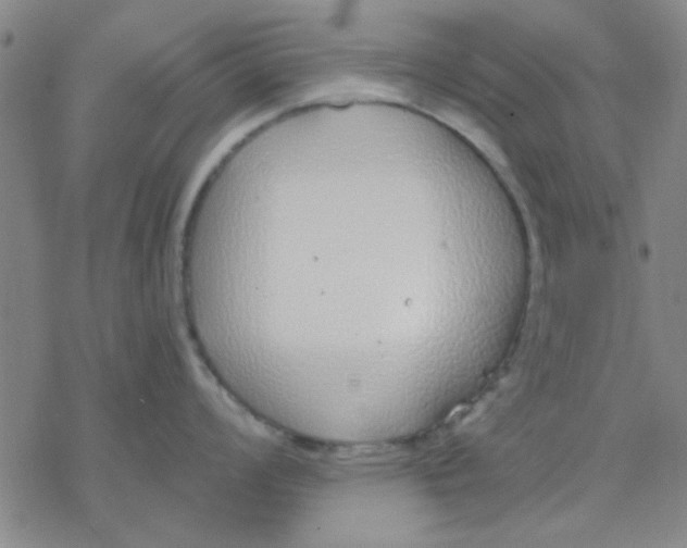 X0000076401008200610271613