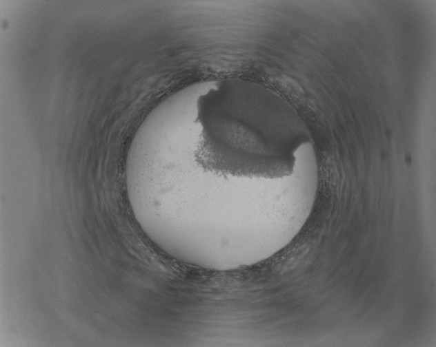 X0000076401009200610271612