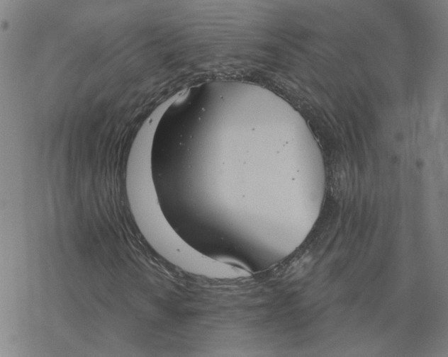 X0000076401010200610271612