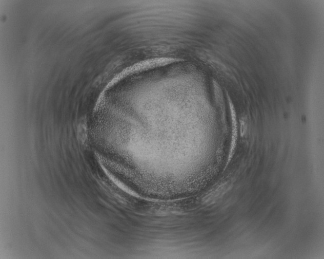 X0000076401011200610271612