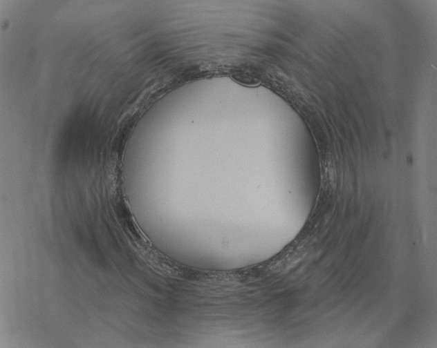 X0000076401012200610271612