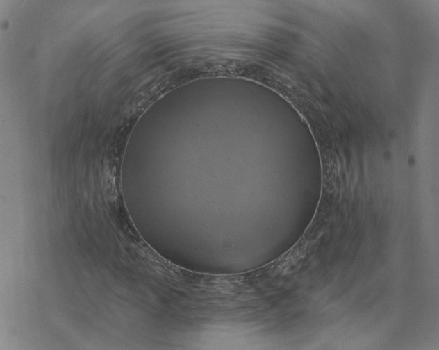 X0000076401013200610271612