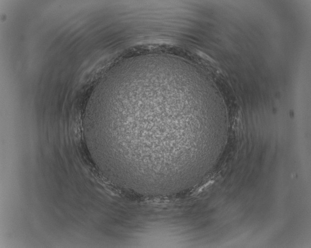 X0000076401014200610271612