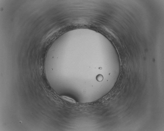 X0000076401015200610271612