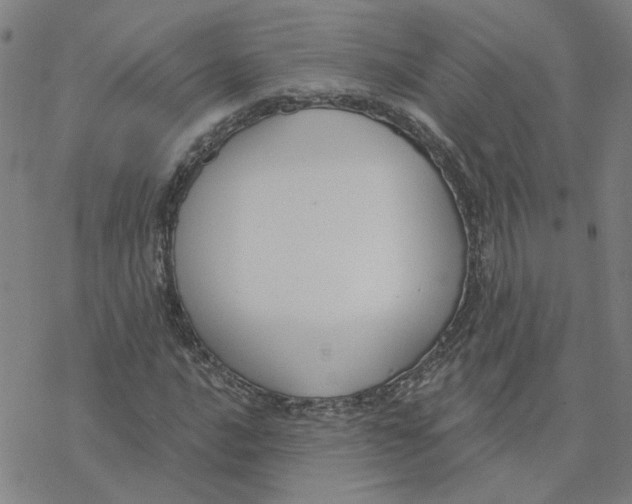 X0000076401016200610271612