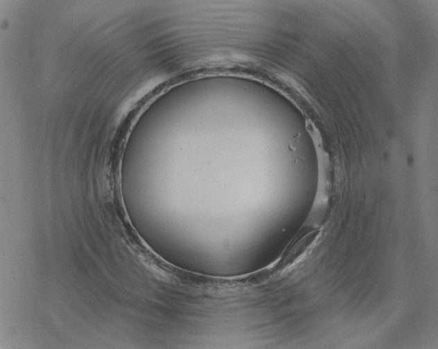 X0000076401018200610271612