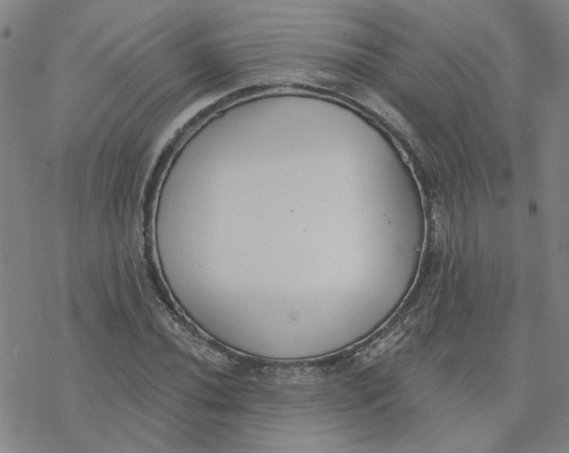 X0000076401020200610271612