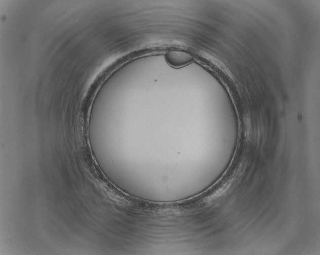 X0000076401021200610271613