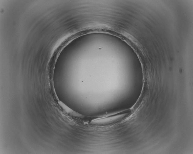 X0000076401022200610271613