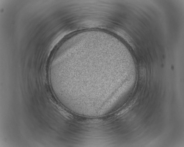 X0000076401023200610271613