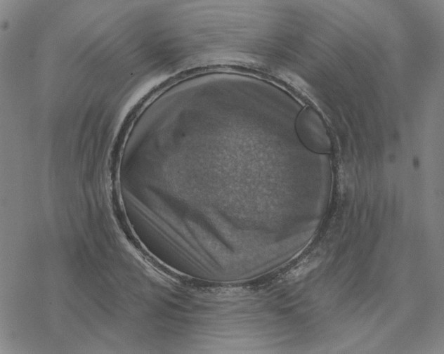 X0000076401024200610271613