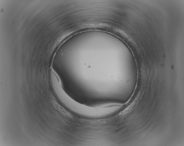 X0000076401025200610271613