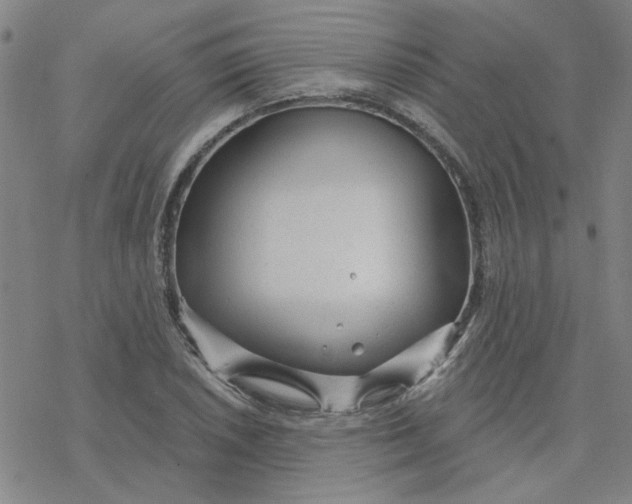 X0000076401026200610271613