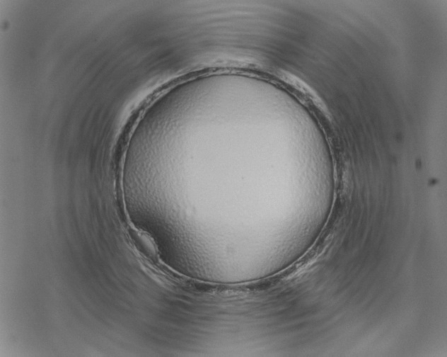 X0000076401027200610271613