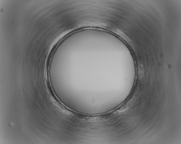 X0000076401028200610271613