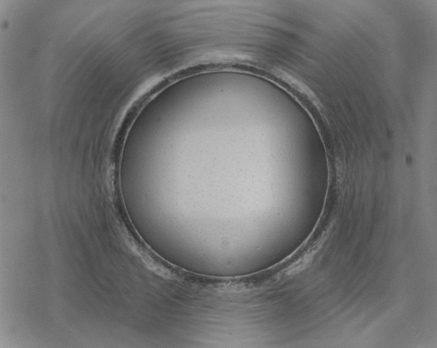 X0000076401029200610271613