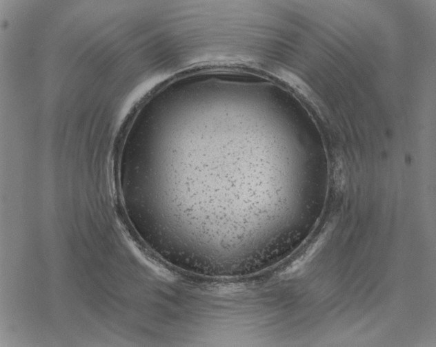 X0000076401030200610271613