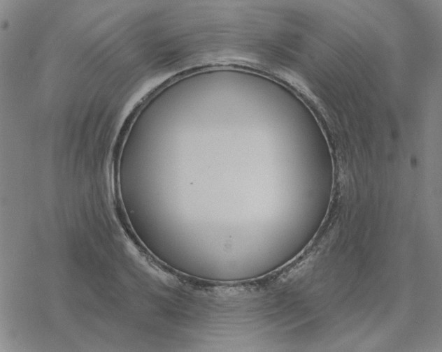 X0000076401032200610271613